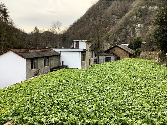 商洛市商南縣鄉建設用地增減掛鉤項目.jpg