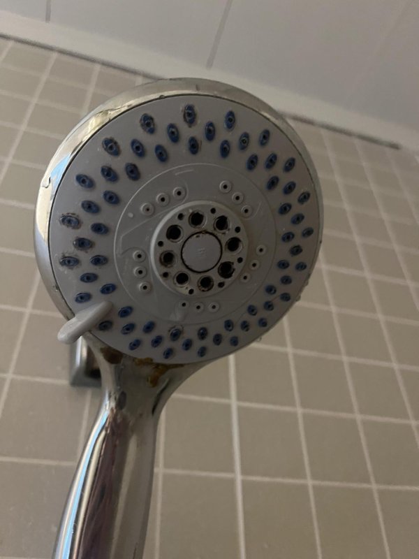 第一资本 女子称入住锦江之星酒店发现“花洒有排泄物”，店长称保证房间没问题 相关部门介入调查